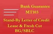 We have direct providers of Fresh Cut BG,  SBLC and MTN LEASE